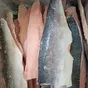 филе горбуши на коже dk в Санкт-Петербурге