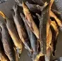 щуку свежемороженую . в Барнауле и Алтайском крае 8