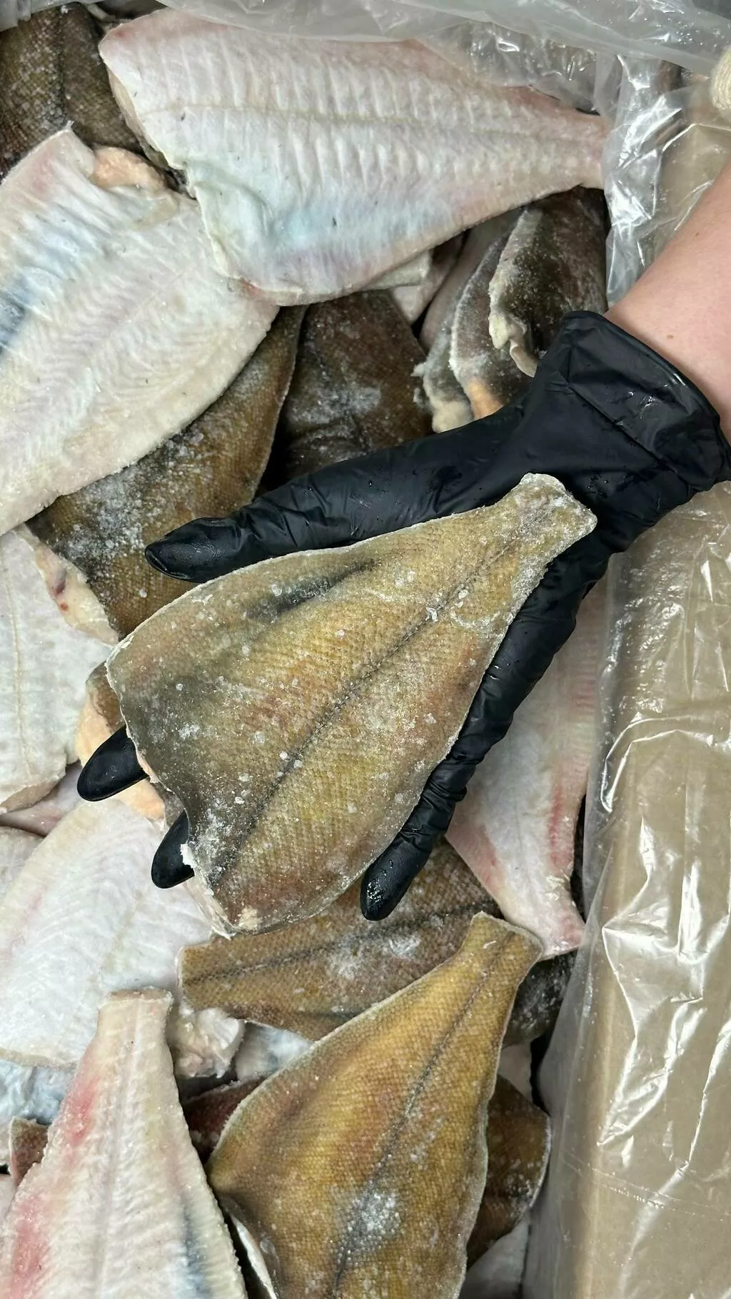 фотография продукта Камбала палтусовидная штучная