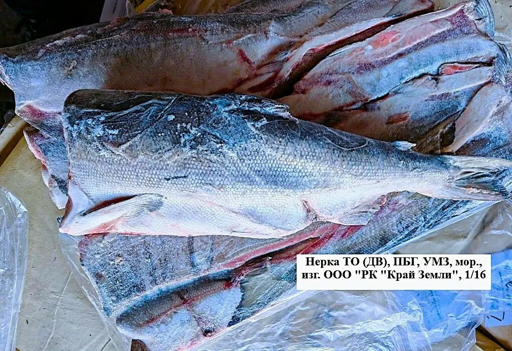 фотография продукта Филе кижуча, горбуша, нерка , голец