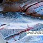 филе кижуча, горбуша, нерка , голец в Владивостоке и Приморском крае
