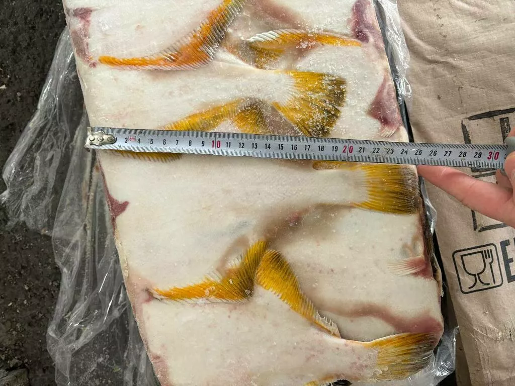 фотография продукта Камбала жп бг 