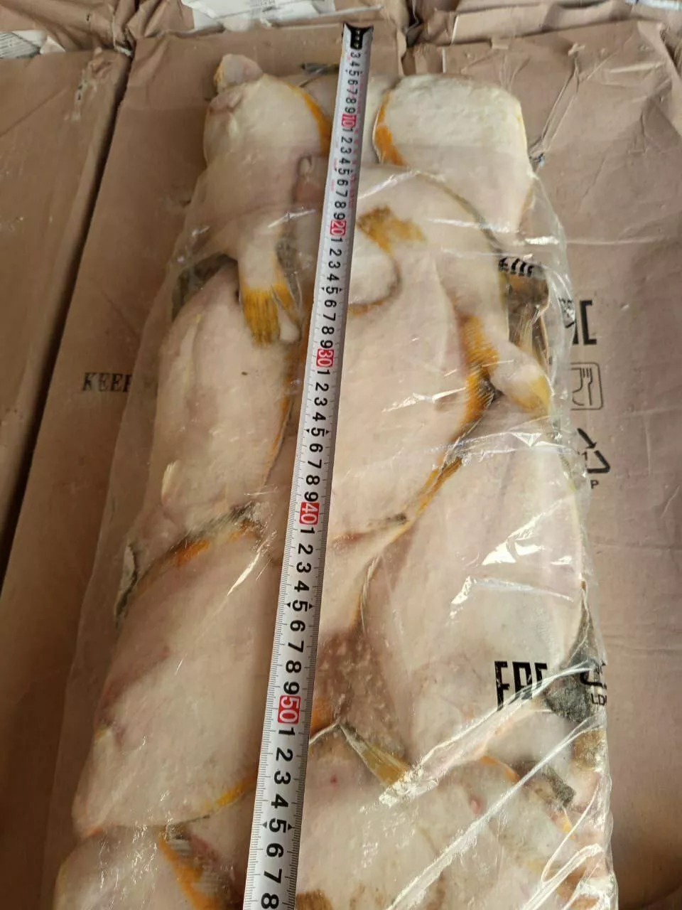 фотография продукта Камбала нр жп