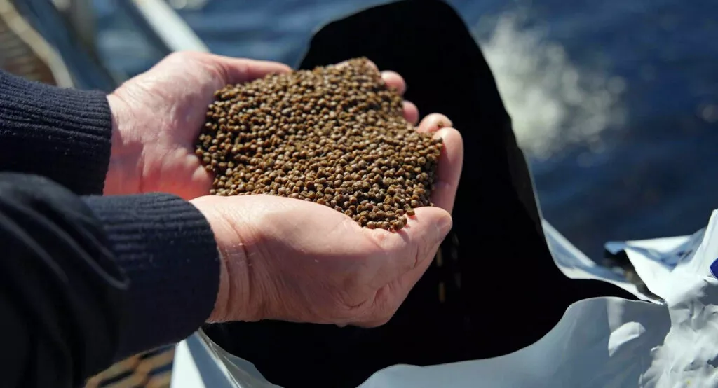 Фотография продукта Kormie производитель кормов для рыб