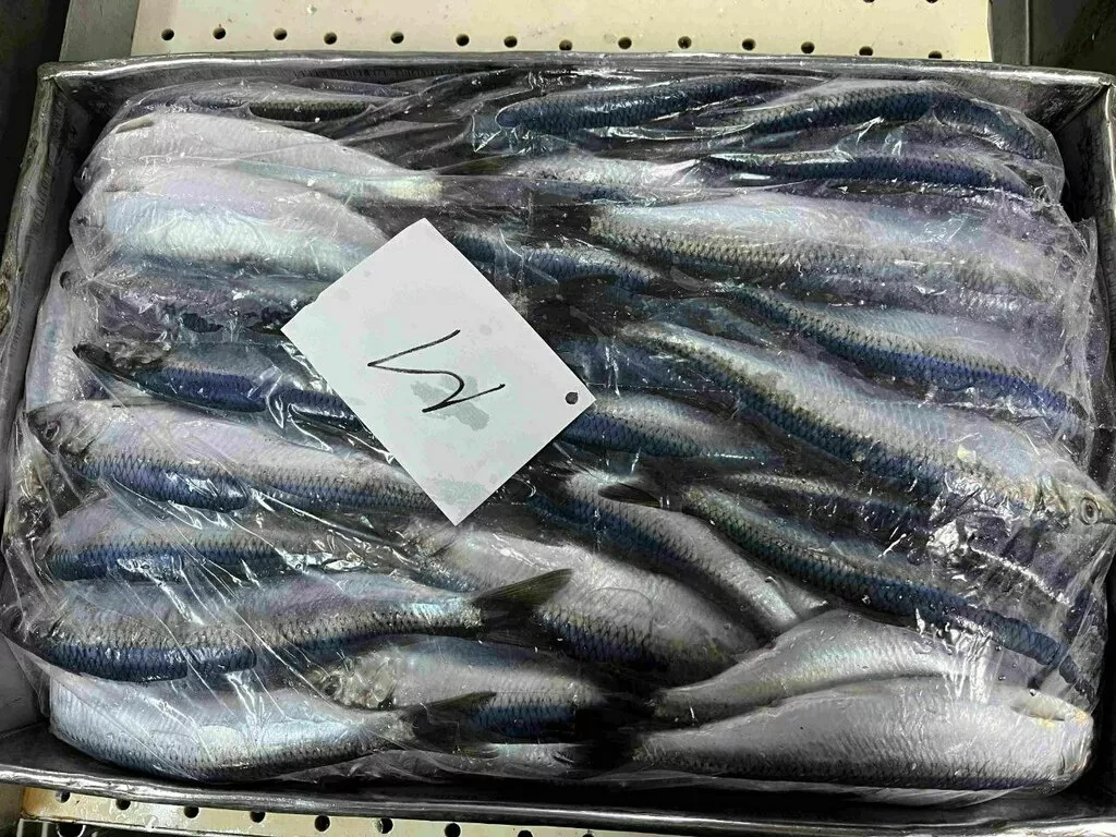 фотография продукта Сельдь т/о н/р, м