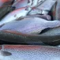 товарная форель в России
