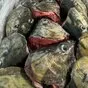 головы лососевых. крупным оптом в Владивостоке и Приморском крае