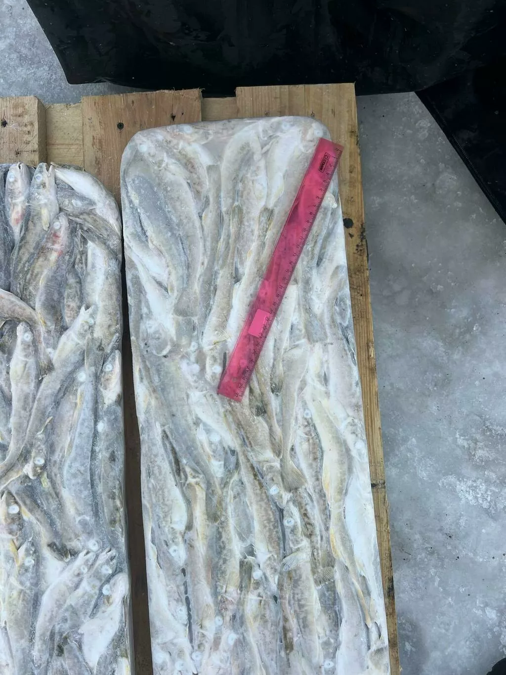 фотография продукта Навага нр 17-21