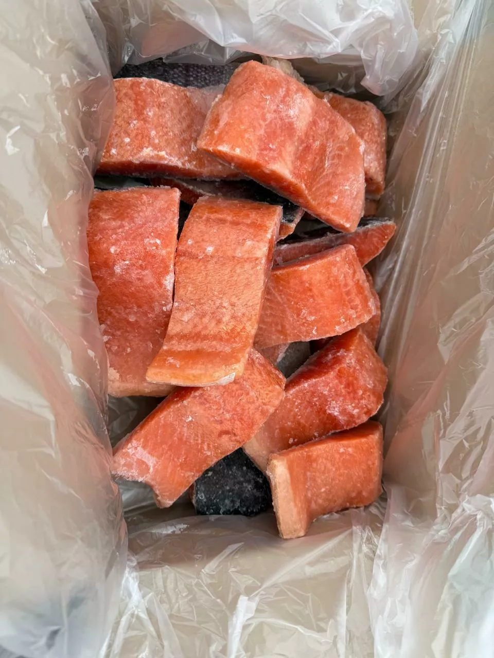 фотография продукта Филе кусок форели с/м 