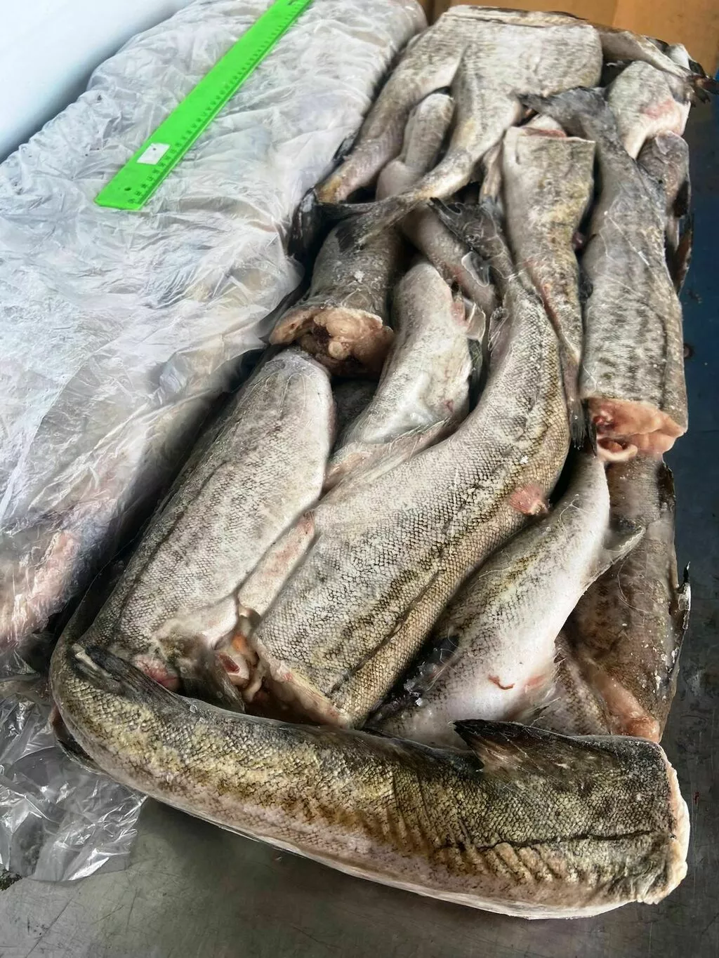 фотография продукта Рыбопродукция опт 