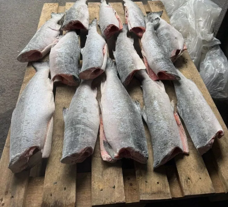 Фотография продукта Кижуч пбг штучной заморозки