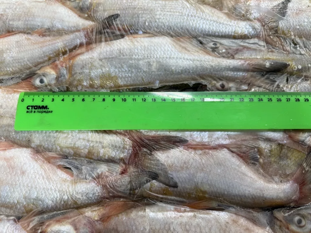 Фотография продукта Рыбец свежемороженый