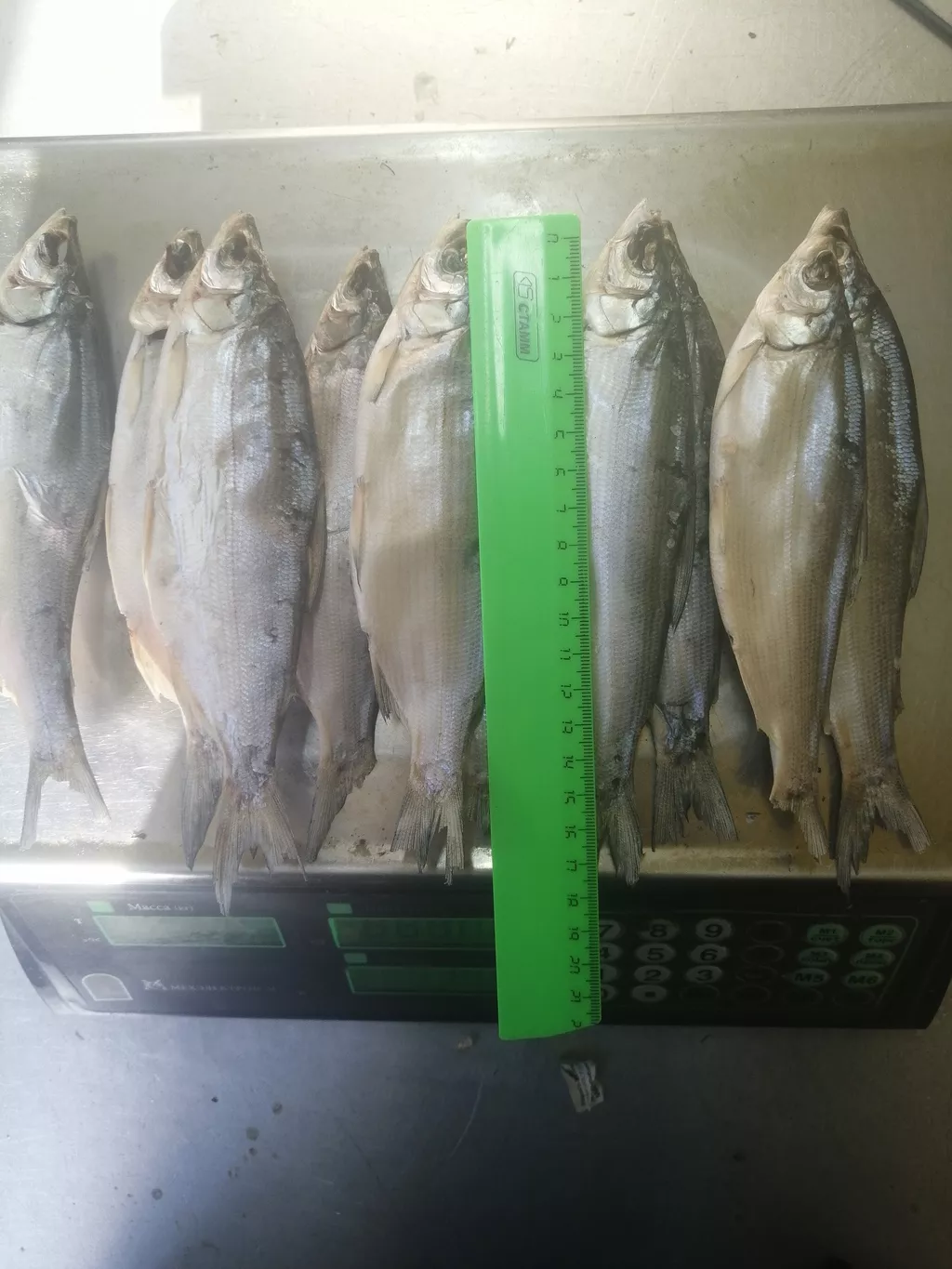 фотография продукта Пелядь озёрная