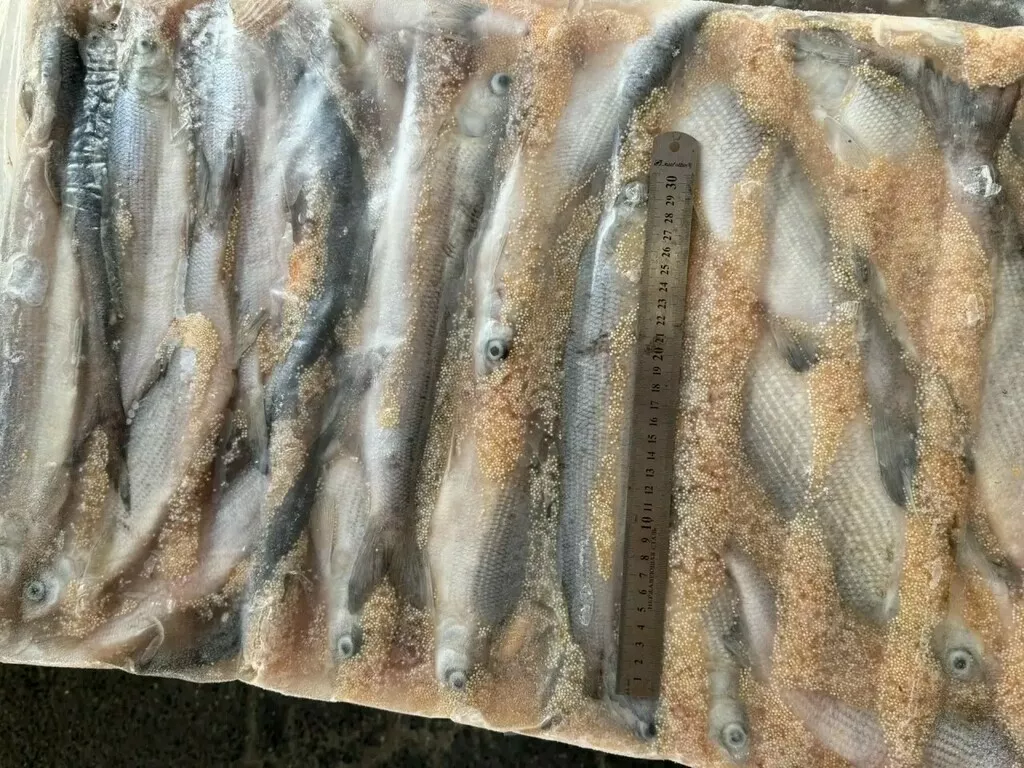 Фотография продукта Пелядь речная свежемороженая 250... гр