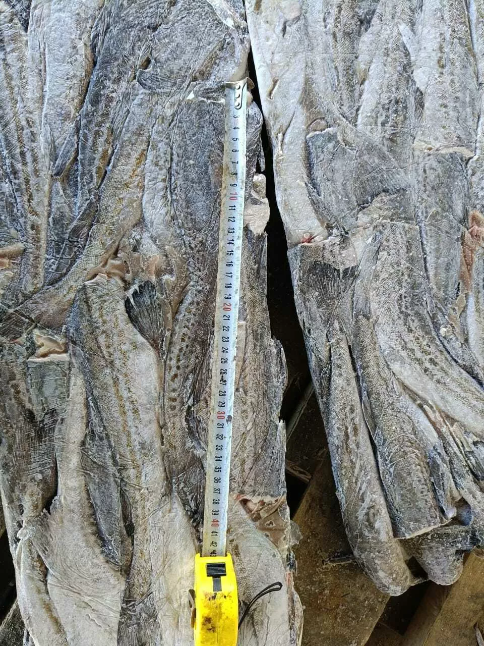 Фотография продукта Минтай б/г, 25см, 30см