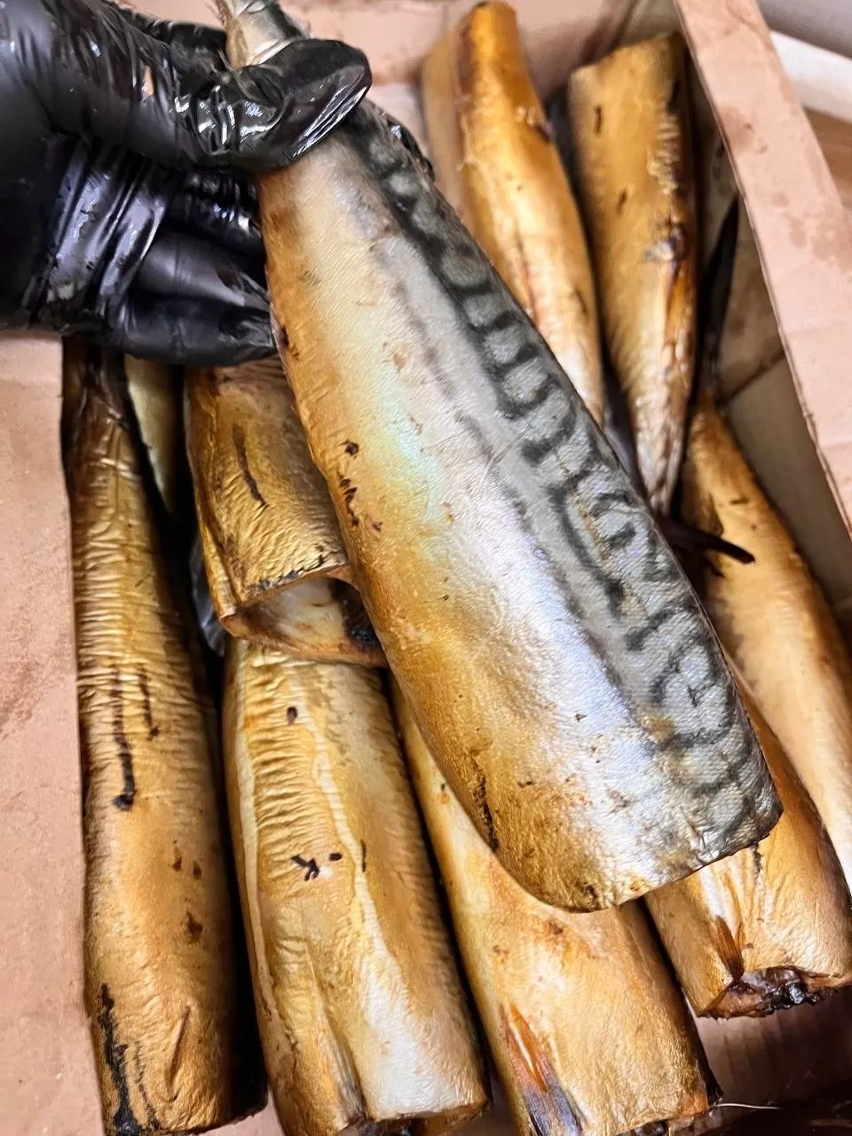 Фотография продукта Скумбрия холодного копчения