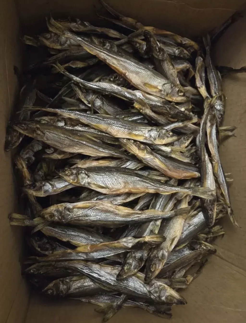 Фотография продукта Карельская вяленая корюшка опт и розница