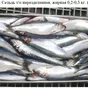 сельдь то 200...  в Владивостоке и Приморском крае 3