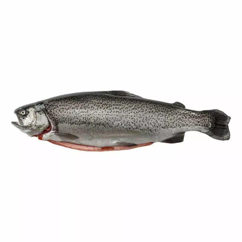 фотография продукта Форель псг 2 кг