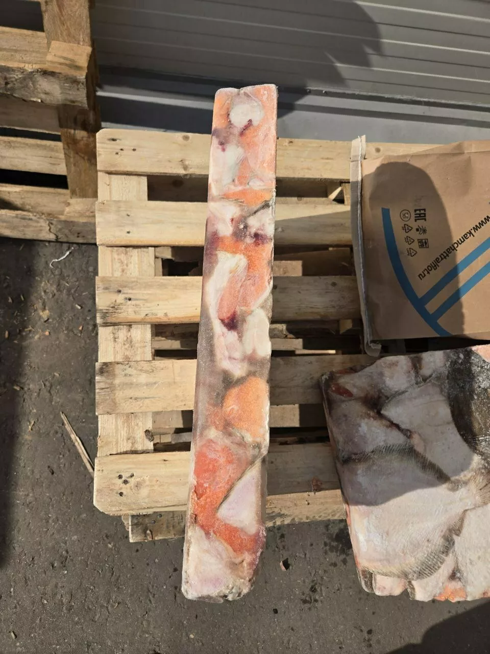 Фотография продукта Камбалу б/б б/г икряная свежемороженая