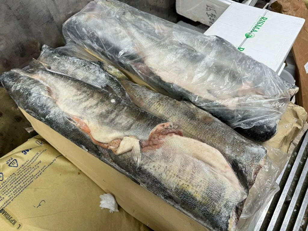 фотография продукта Кета пбг ист трейдинг