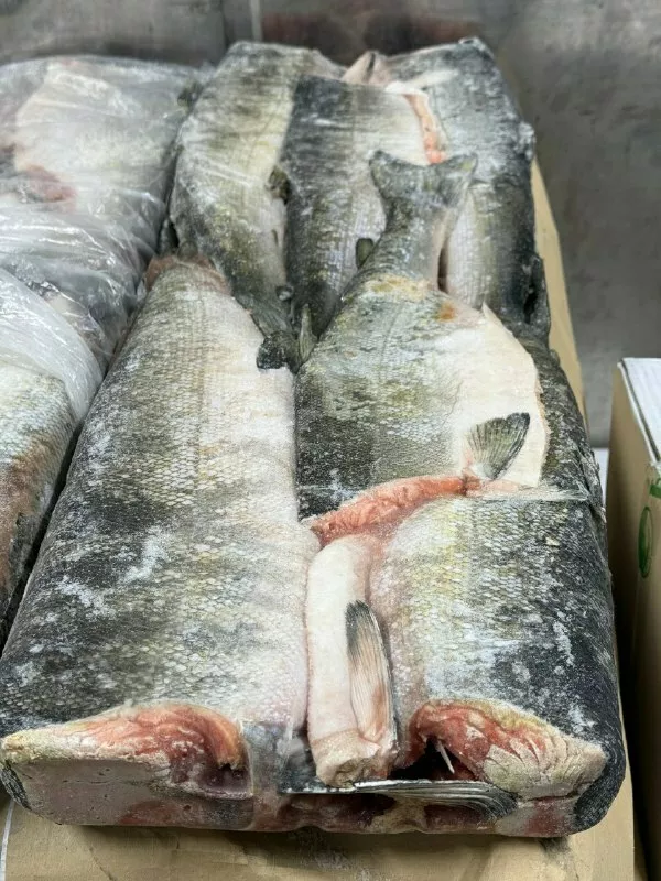 фотография продукта Кижуч пбг вест терра