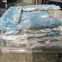 окунь речной в Новосибирске и Новосибирской области 3
