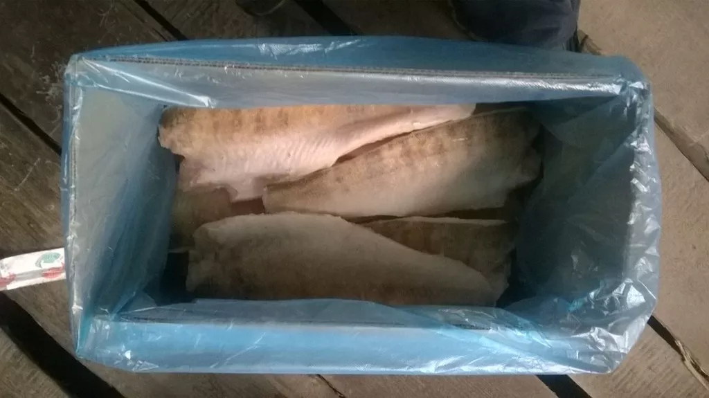фотография продукта Судак филе 600 ГОСТ