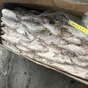 вобла свежемороженая. в Самаре и Самарской области 3