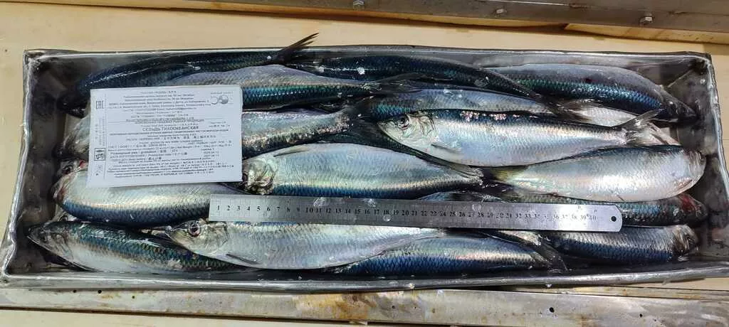 Фотография продукта Сельдь т/о н/р икряная