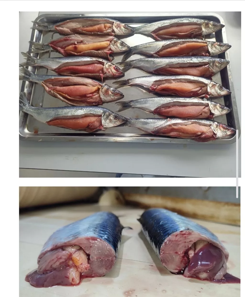 фотография продукта Сельдь икряная т/о н/р 10-14 апреля 26г