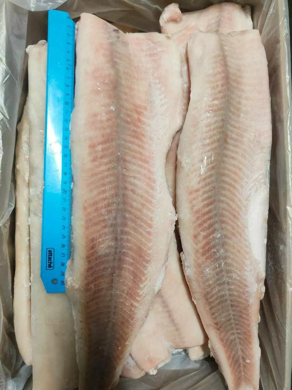 Фотография продукта Щука филе без кожи ГОСТ
