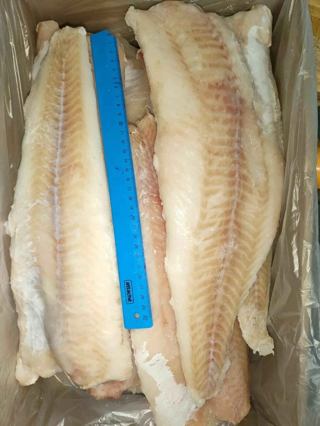 фотография продукта Треска филе без кожи, сто (мурманск)