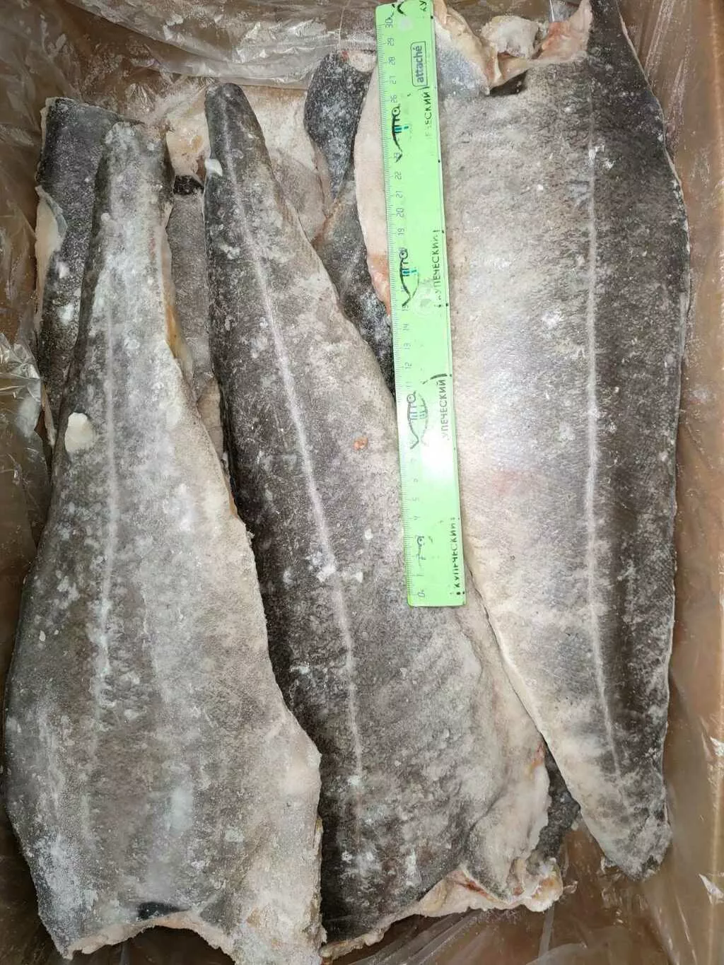 Фотография продукта Сайда филе на коже ГОСТ