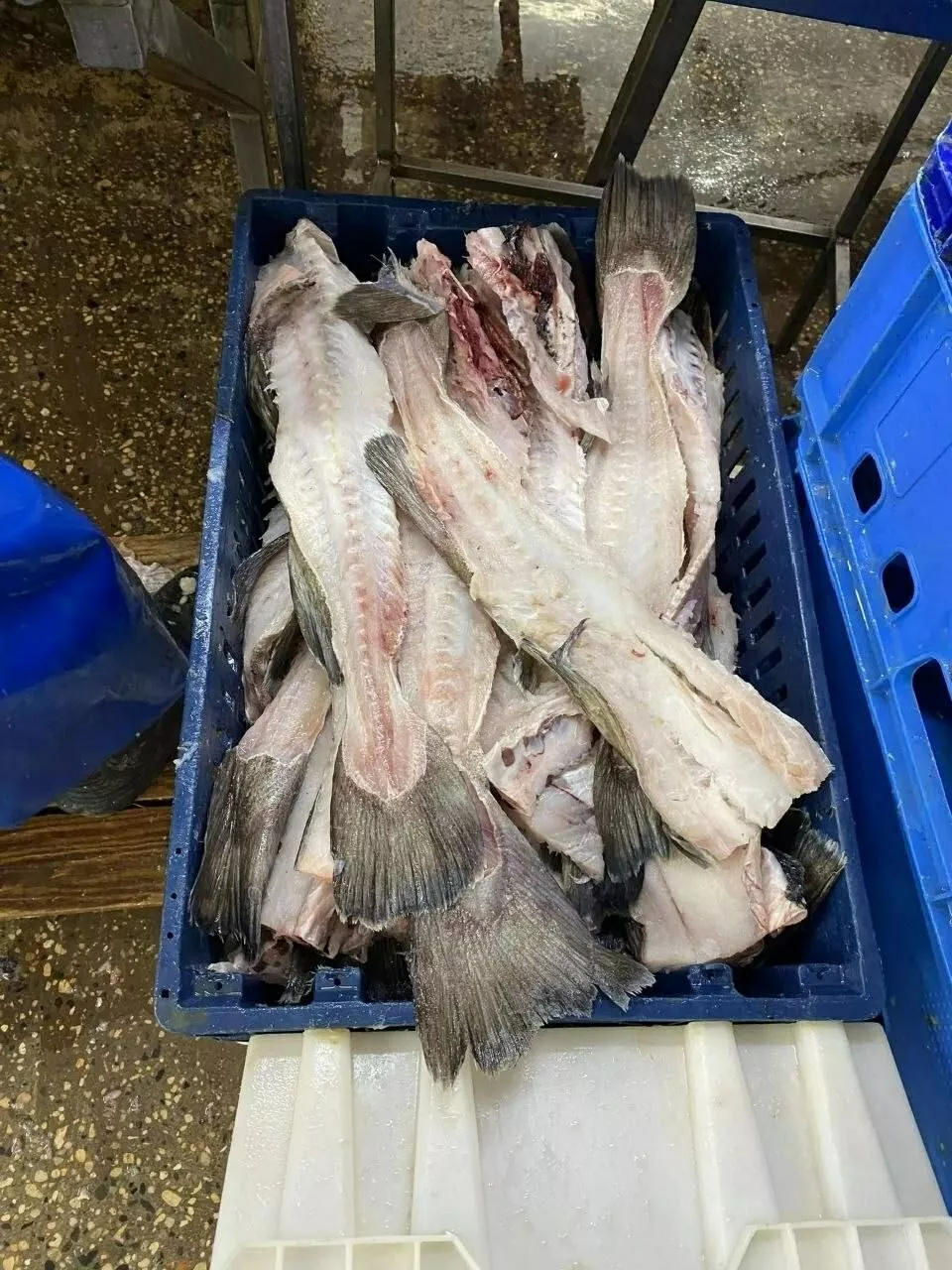 фотография продукта Отходы рыб тресковые окунь судак щука