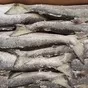 рыба и морепродукты с владивостока  в Владивостоке и Приморском крае 7