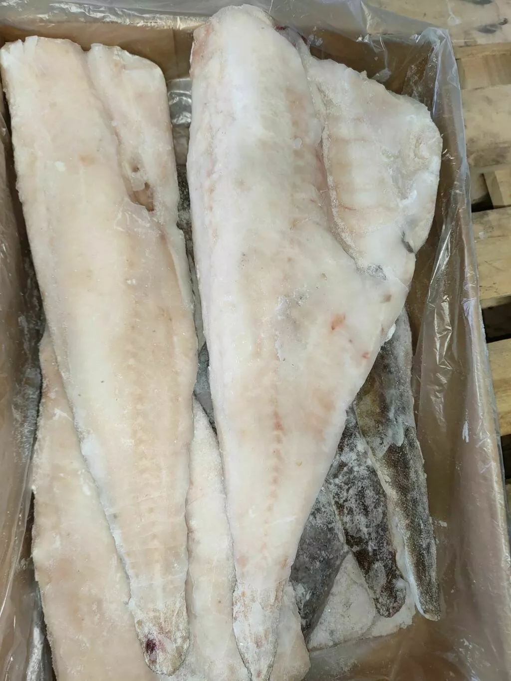 фотография продукта Треска филе на коже, сто (дв)