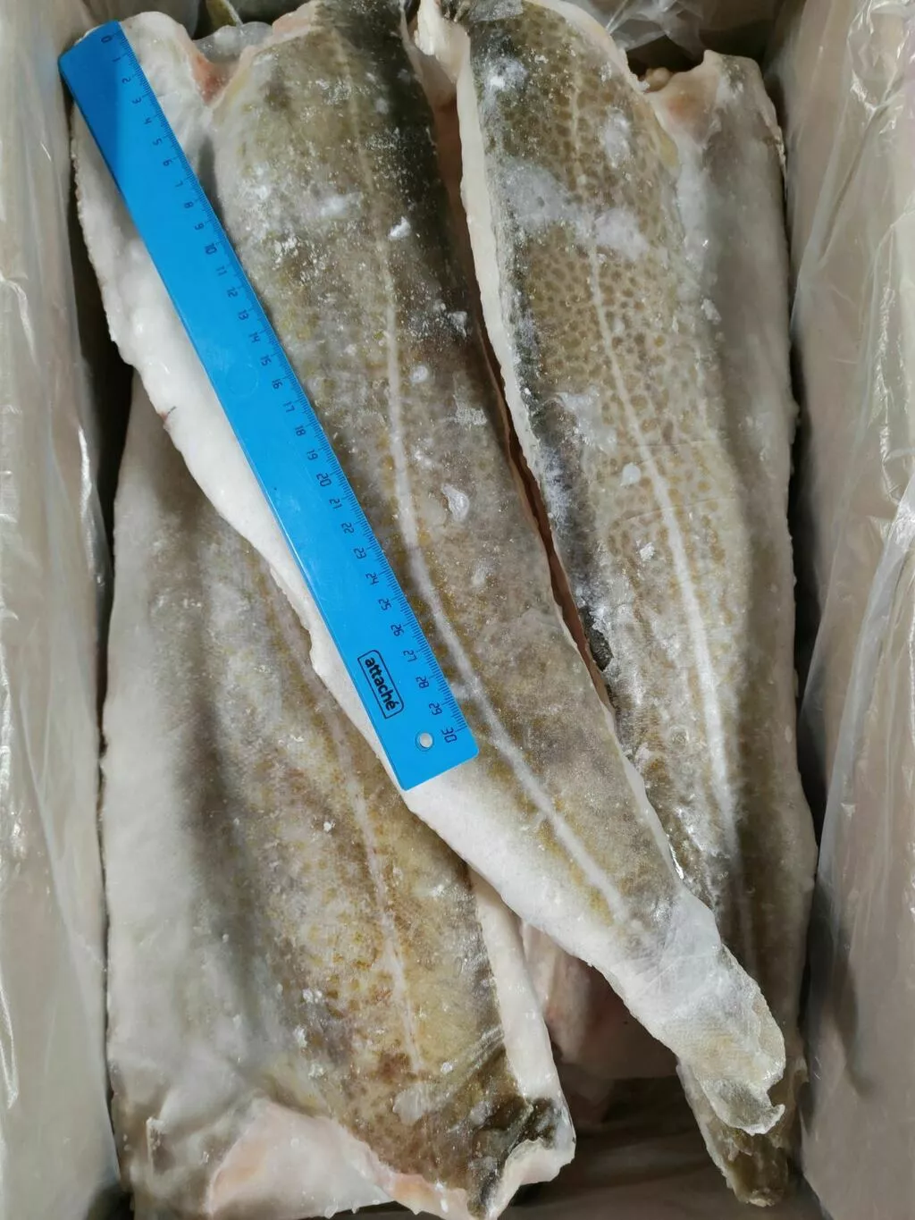 Фотография продукта Треска филе на коже, сто (мурманск)