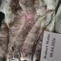  терпуг в Владивостоке и Приморском крае