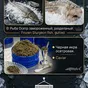 черная икра осетровая зернистая оптом в Киргизии 2