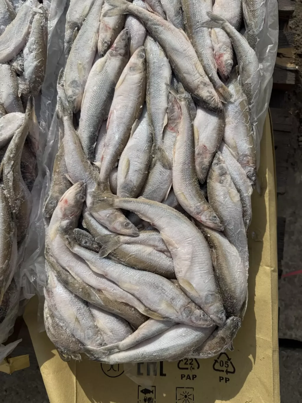 Фотография продукта Корюшка азиатская зубастая