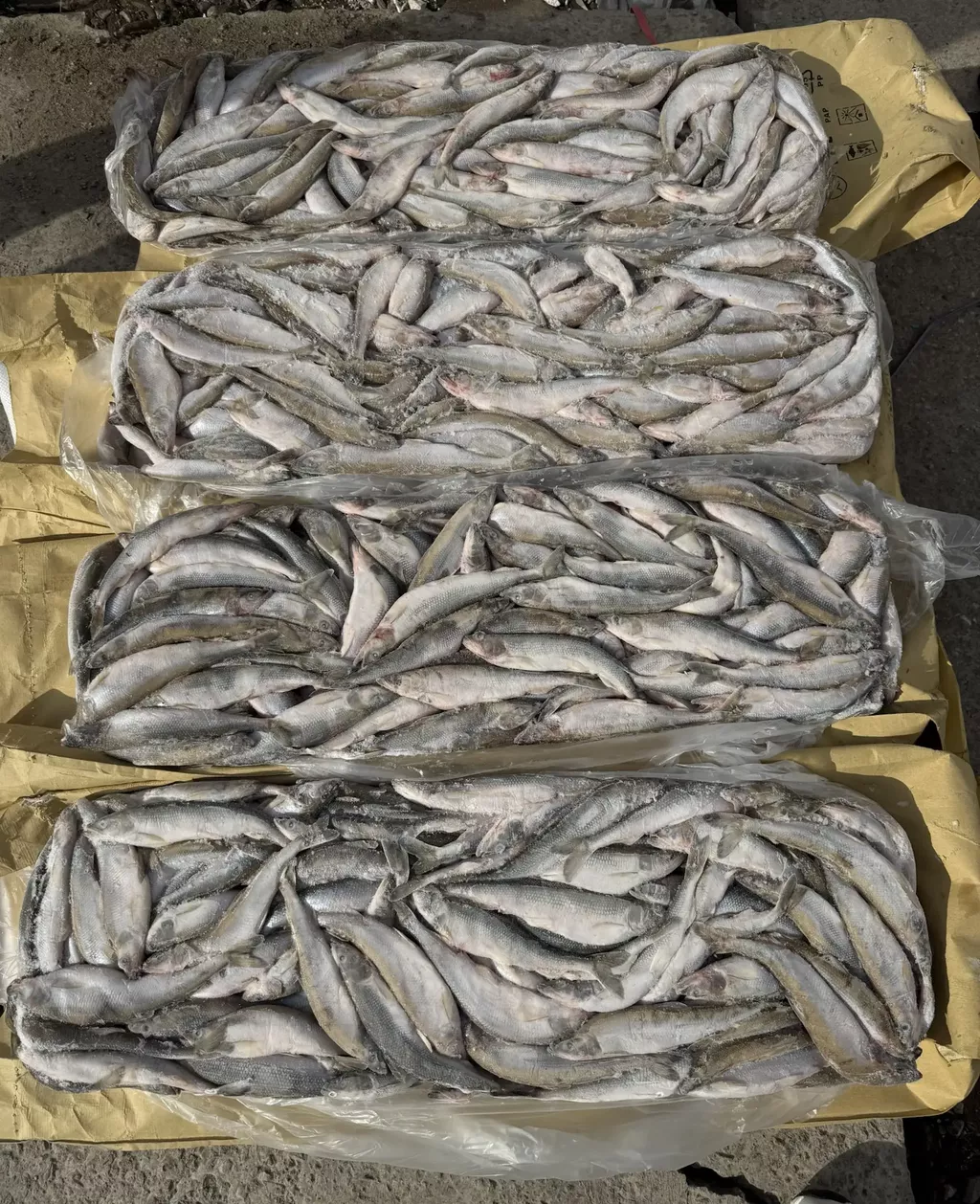 Фотография продукта Корюшка 