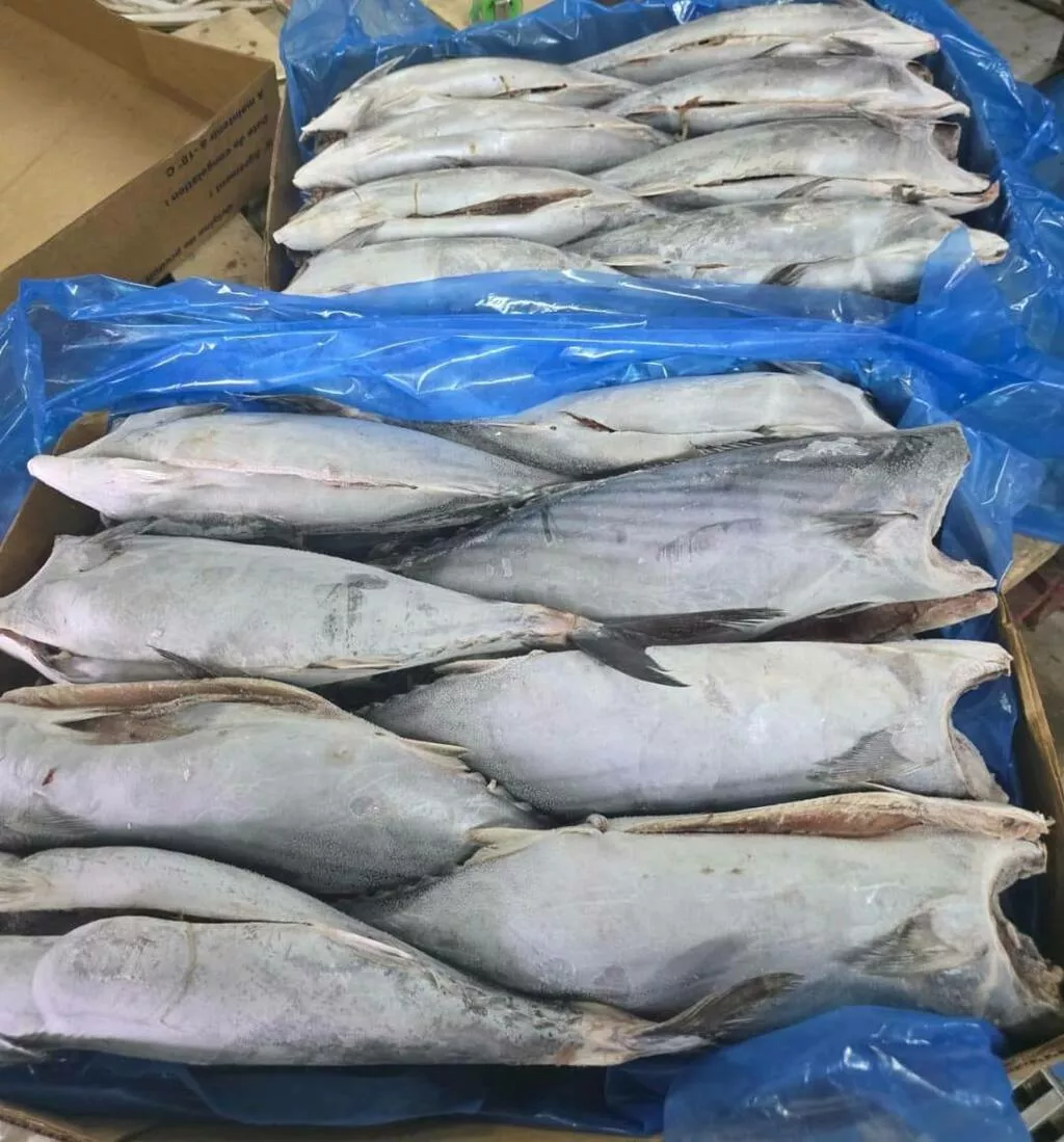 Фотография продукта Тунец макрелевый бонито марокко