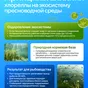 суспензия хлореллы для водоема 10,0 л в Екатеринбурге 4