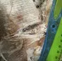 лещ с/м 0.3-0.8 в Самаре и Самарской области 2
