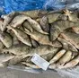 окунь речной  в Москве