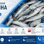 сардина свежемороженая в Санкт-Петербурге