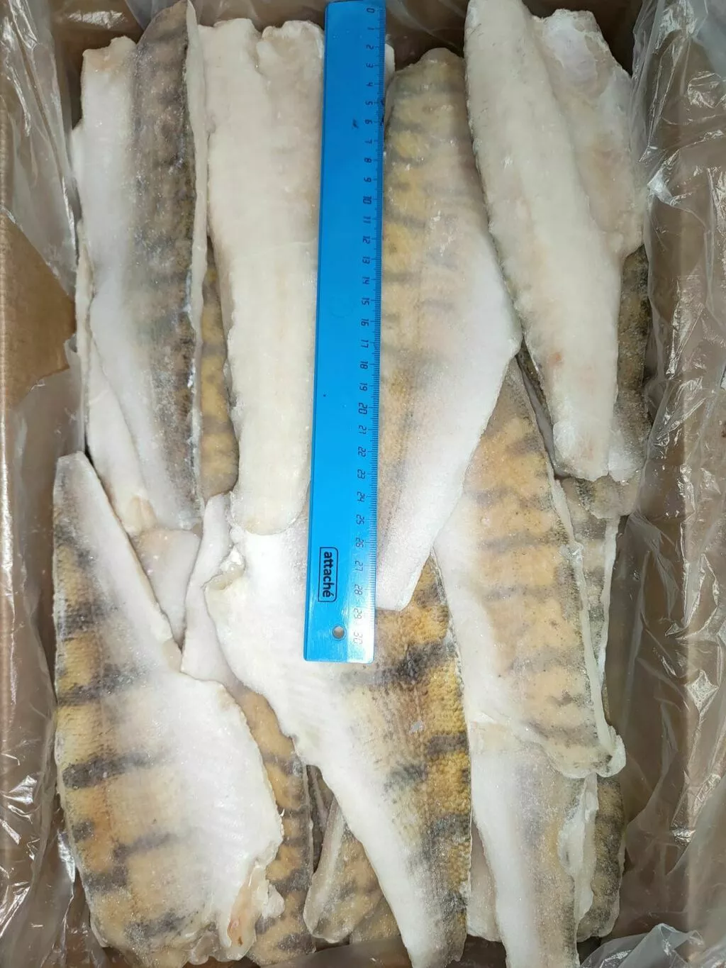 фотография продукта Судак филе на коже гост  200-300 ГОСТ
