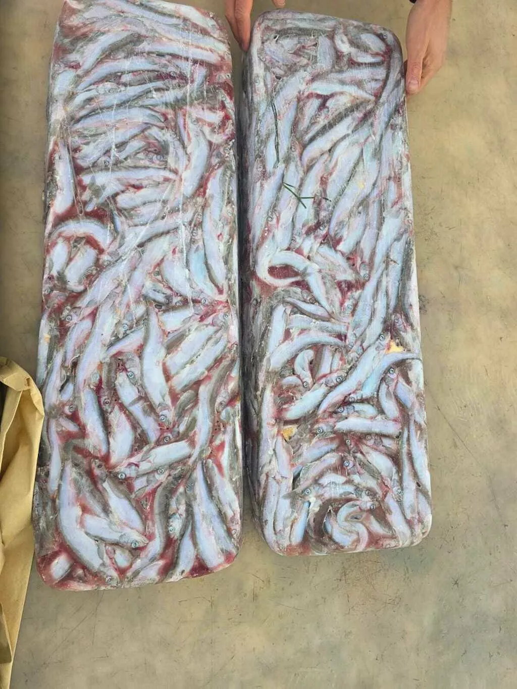 фотография продукта Мойва нр