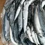 скумбрия, 40... мтф, июнь, 2026г в Тамбове 6
